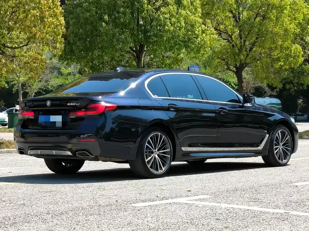 BMW 5 Series 2022 из CN, фото 6