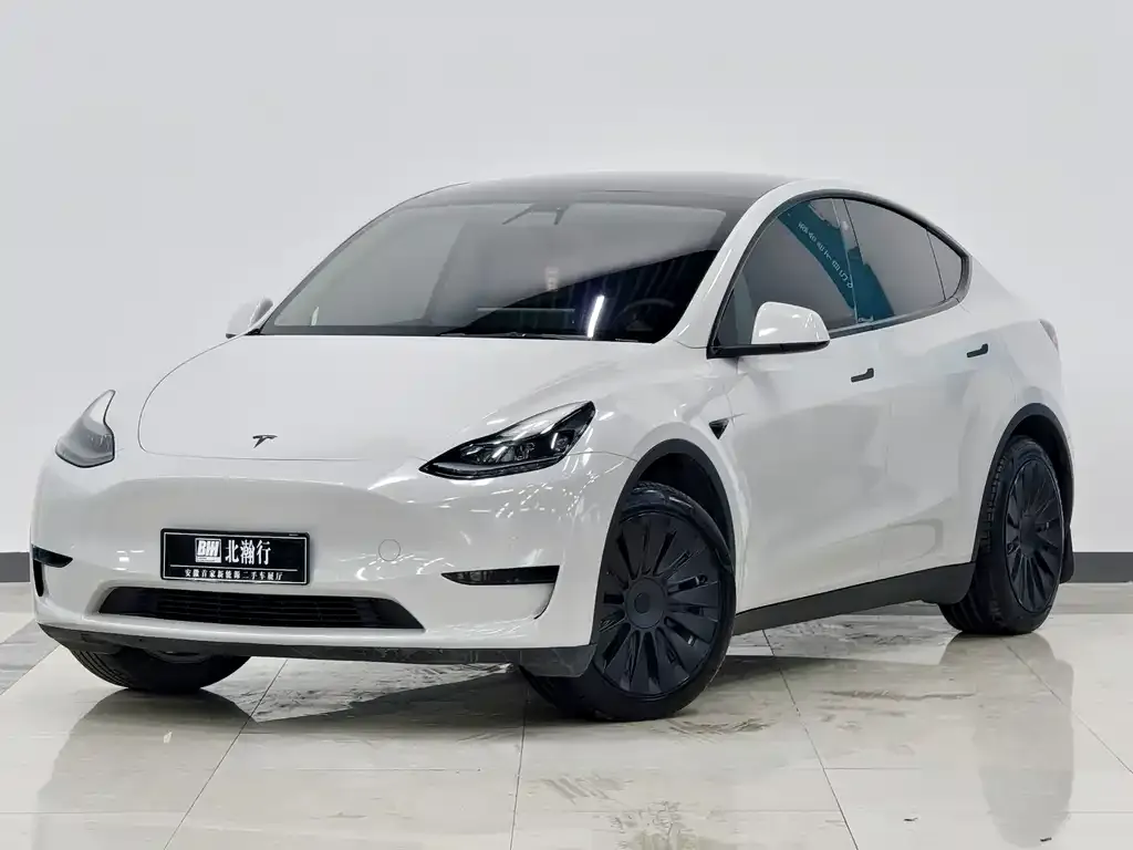 Tesla Model Y 2022 из CN, фото 1