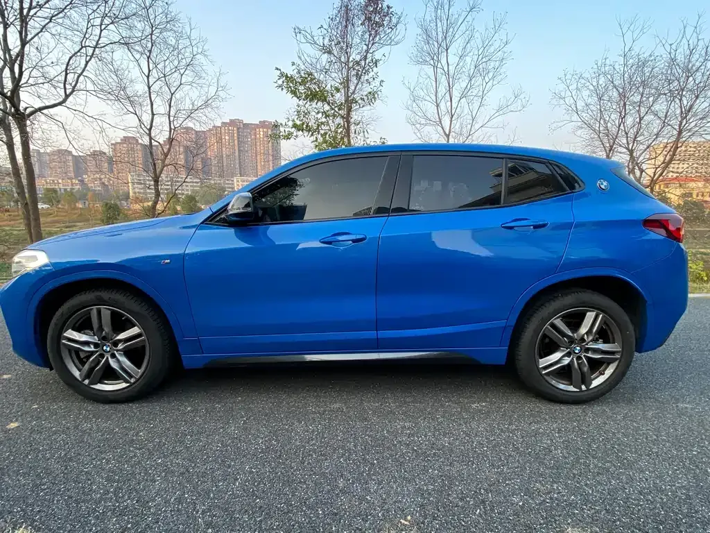 BMW X2 2023 из CN, фото 10