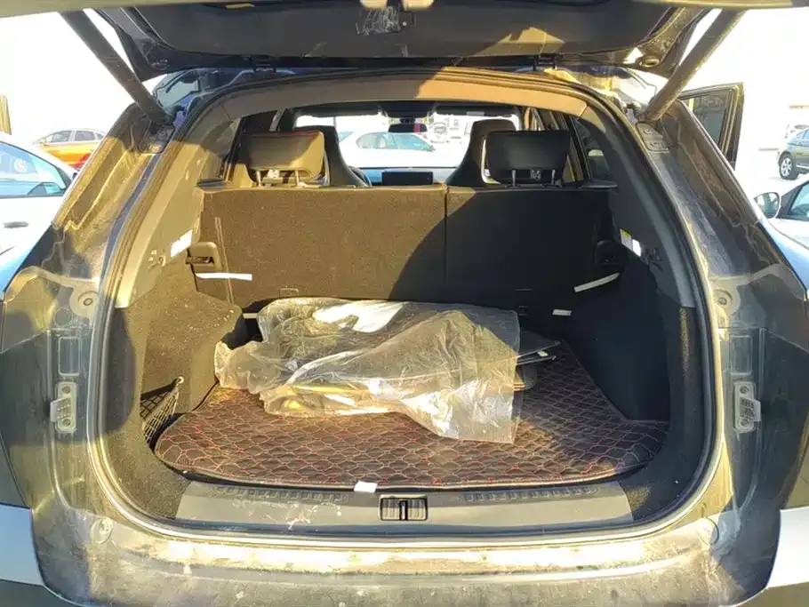 Jetour Dasheng 2023 из CN, фото 10