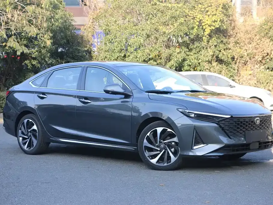 Changan Ruicheng PLUS 2025 из CN, фото 2