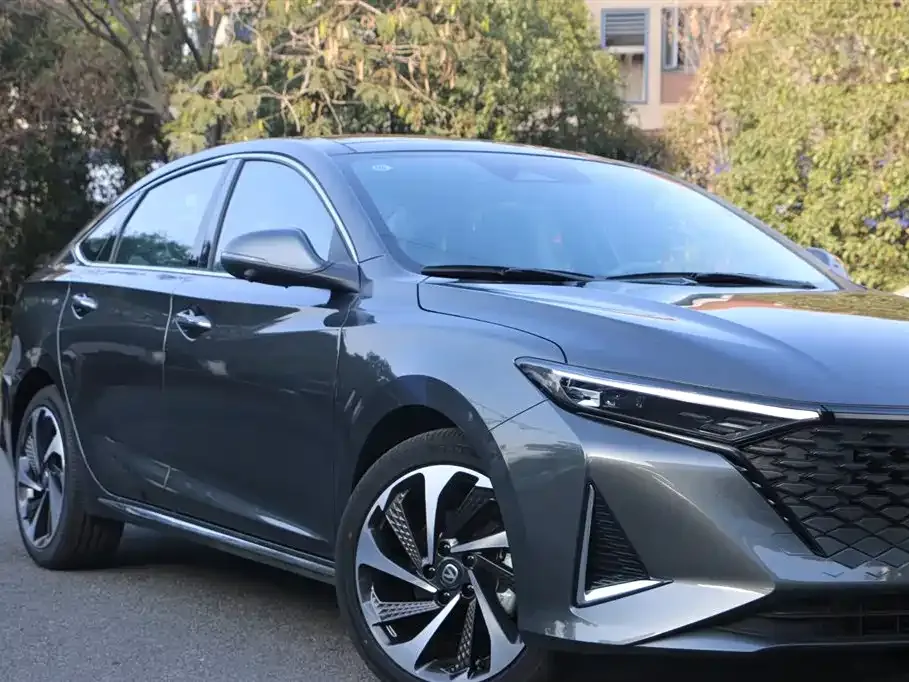 Changan Ruicheng PLUS 2025 из CN, фото 3