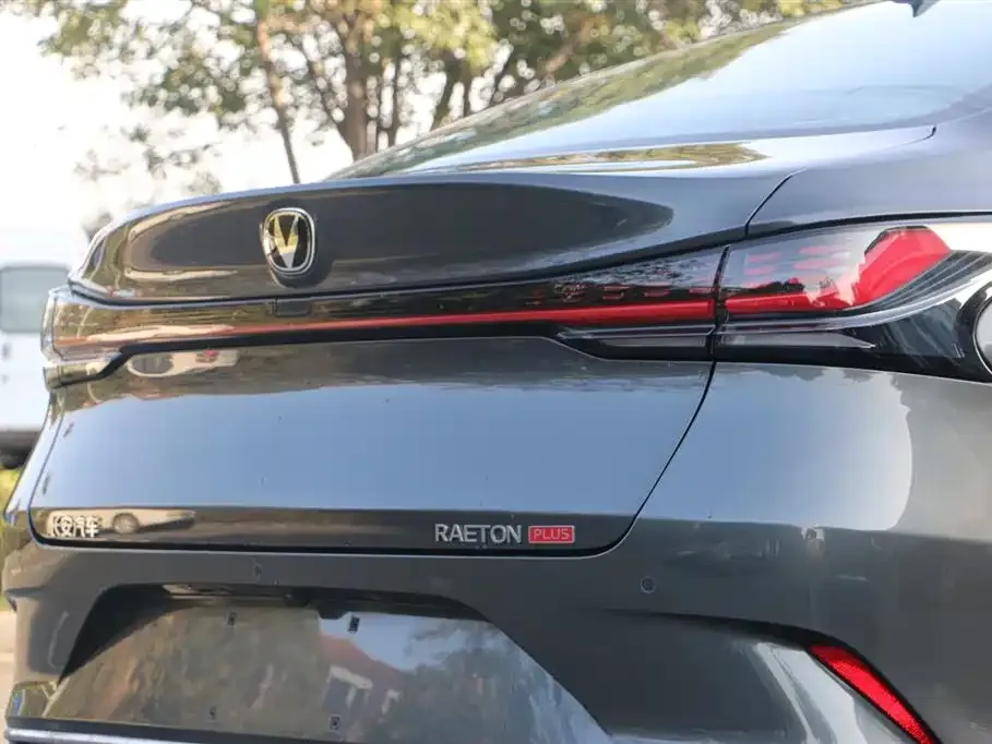 Changan Ruicheng PLUS 2025 из CN, фото 8