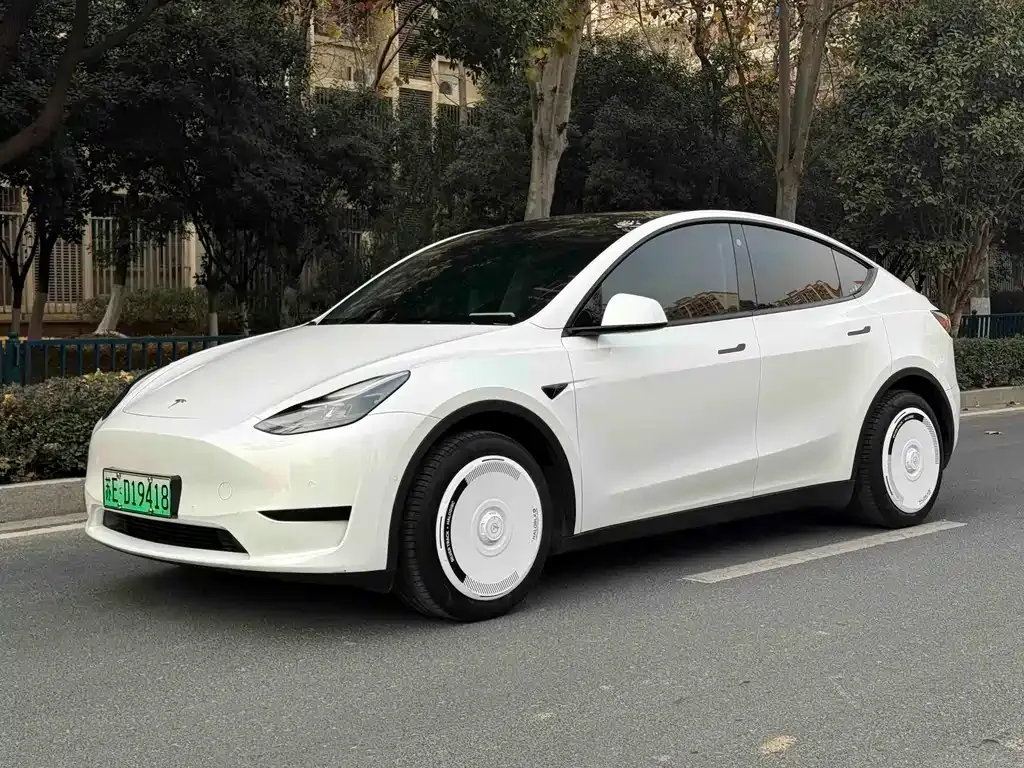 Tesla Model Y 2023 из CN, фото 1
