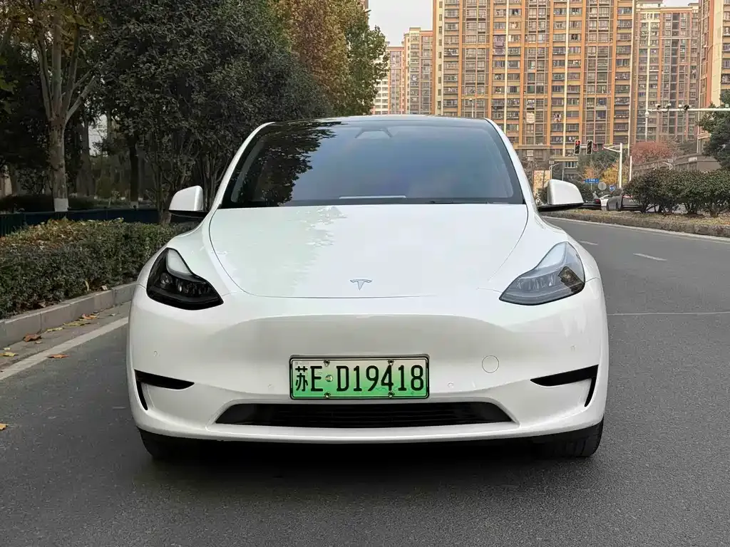 Tesla Model Y 2023 из CN, фото 4