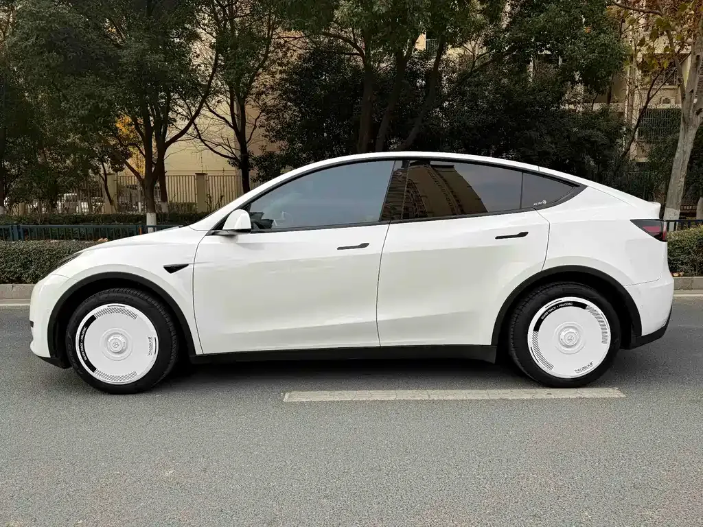 Tesla Model Y 2023 из CN, фото 9