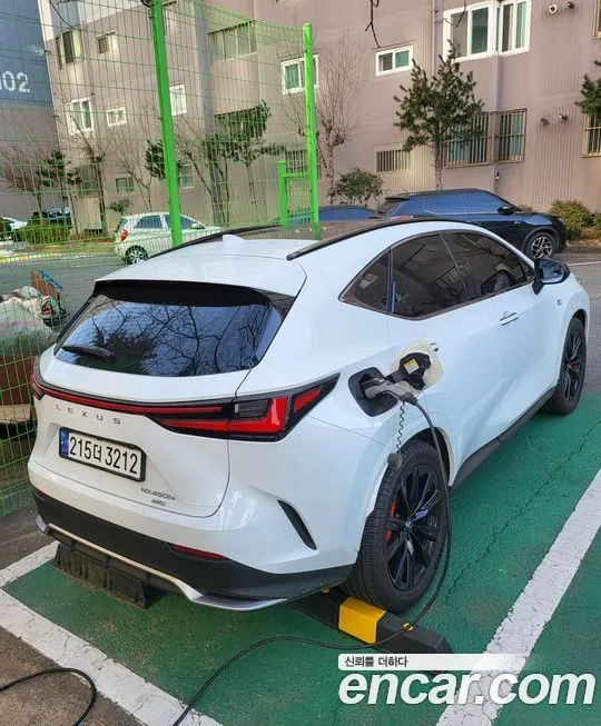 Lexus NX 2025 из KR, фото 3