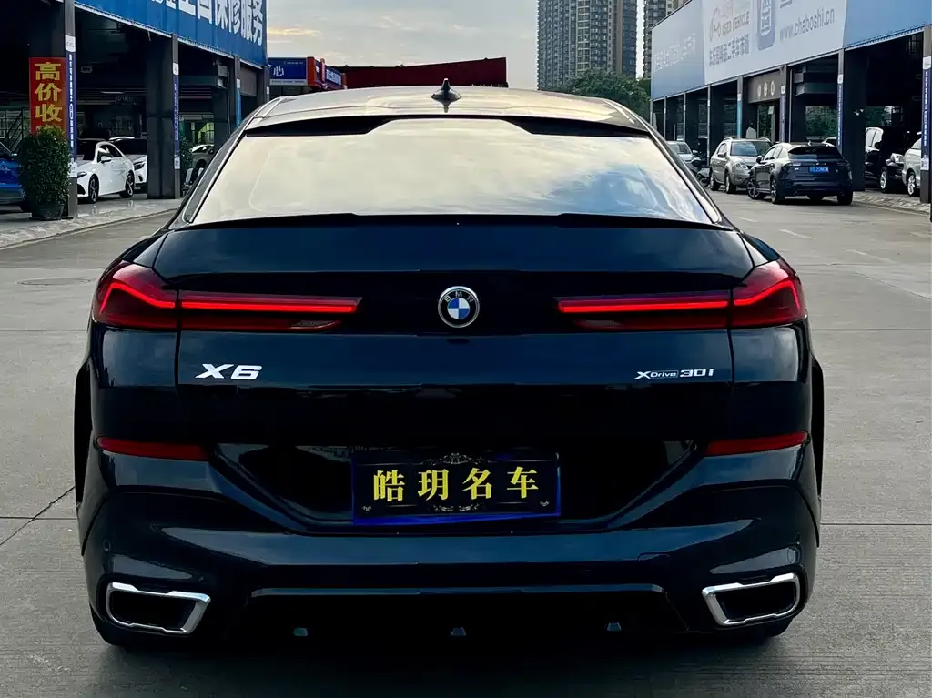 BMW X6 2021 из CN, фото 6