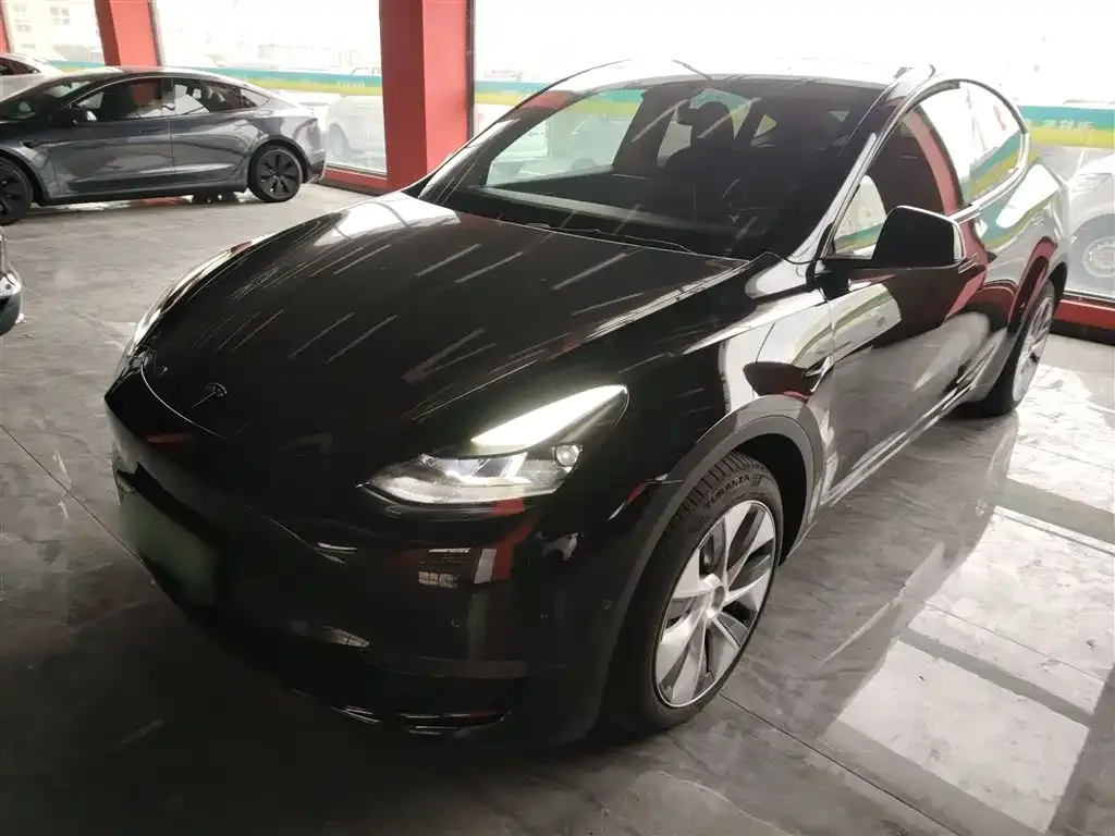 Tesla Model Y — фото 10