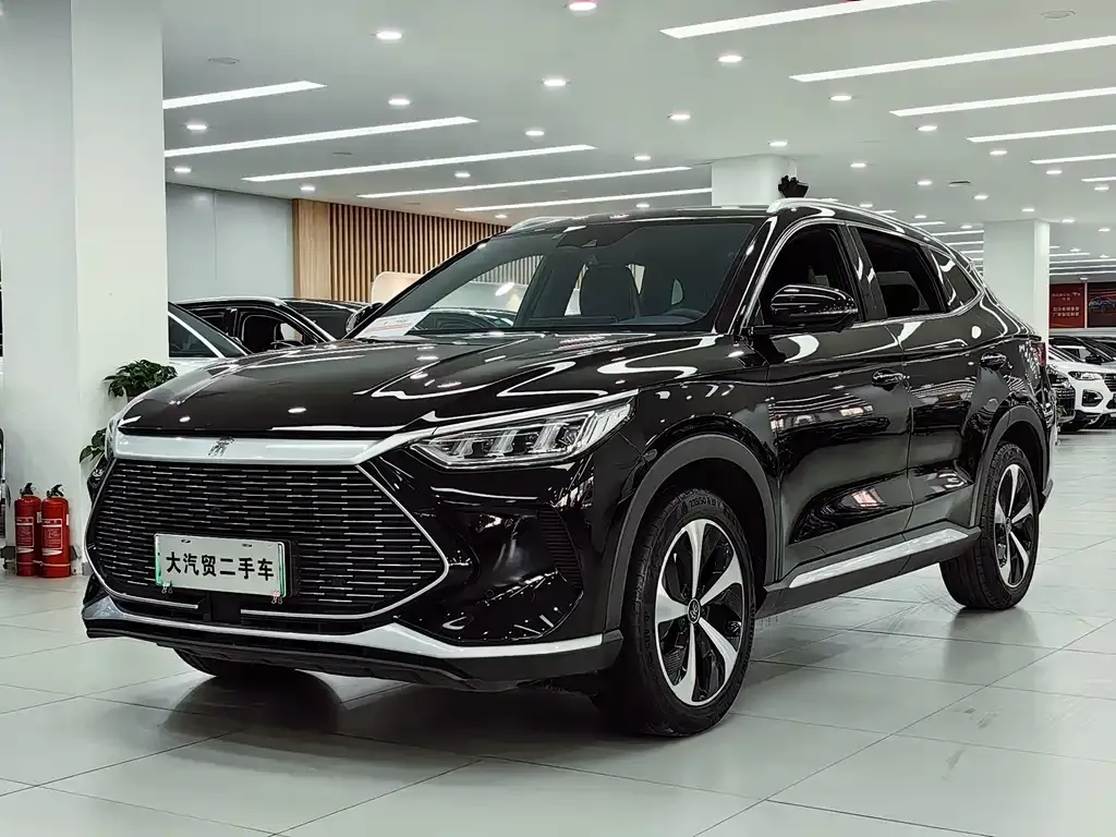 BYD PLUS New Energy 2023 из CN, фото 1