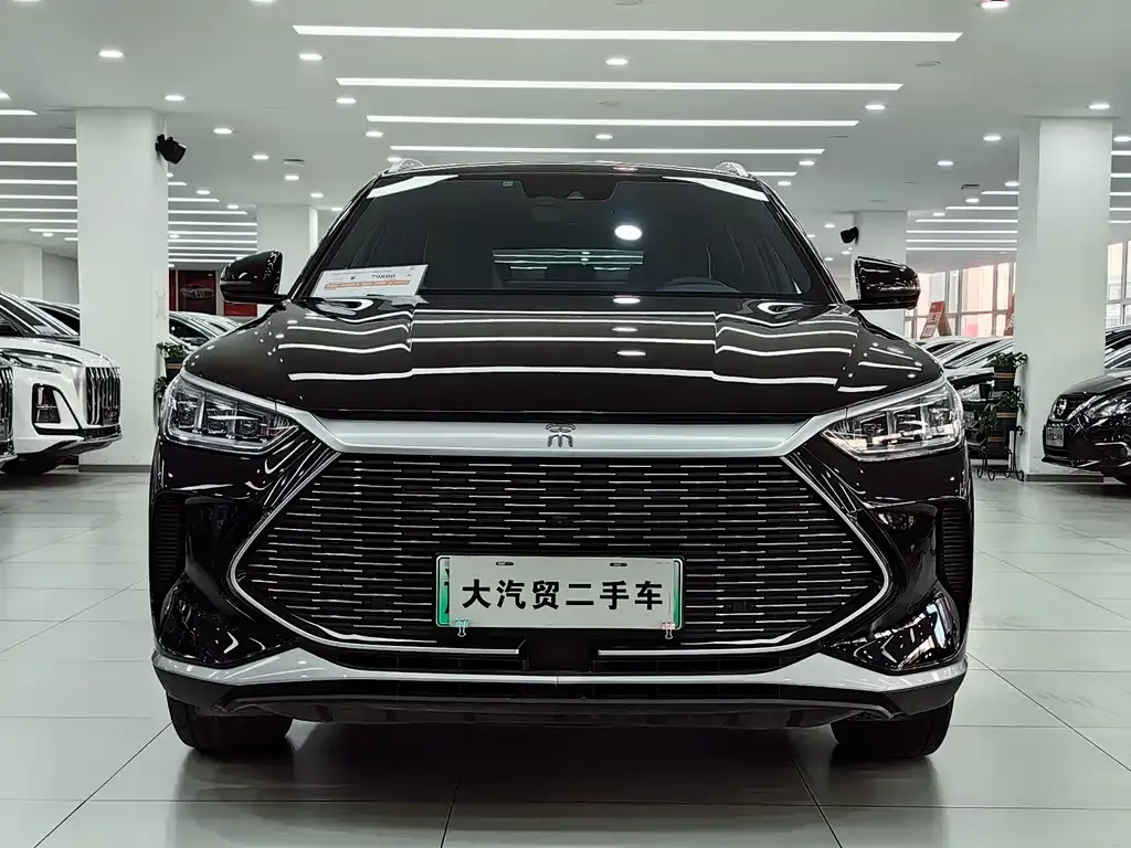 BYD PLUS New Energy 2023 из CN, фото 2