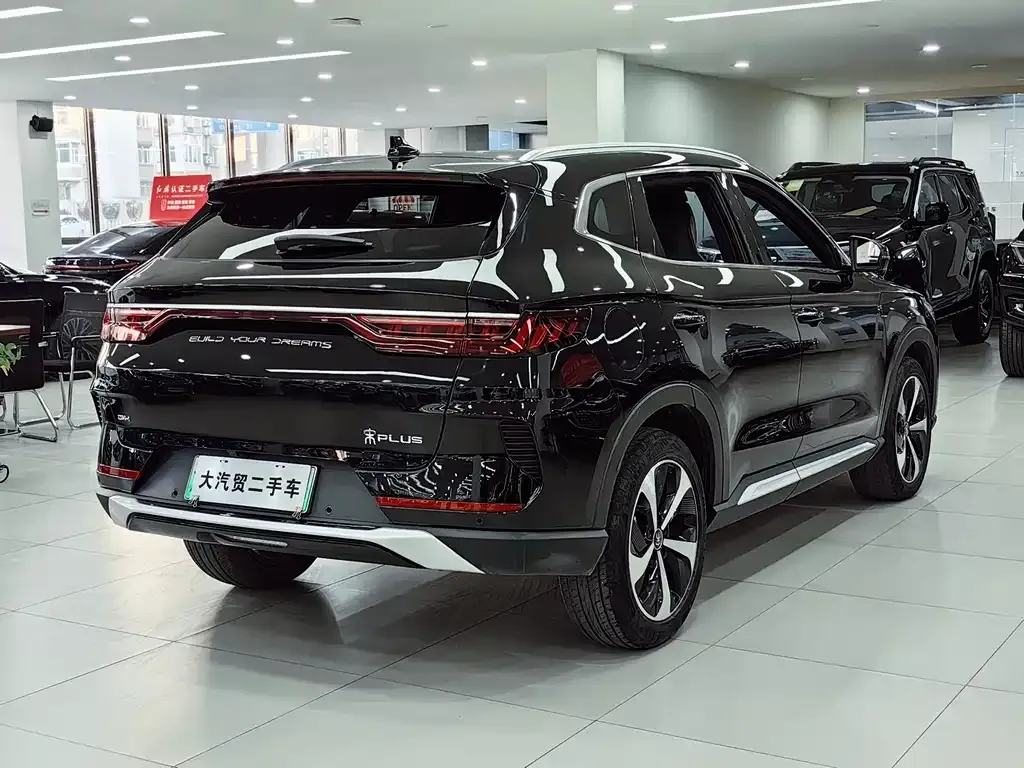 BYD PLUS New Energy 2023 из CN, фото 3