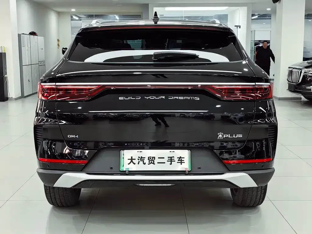 BYD PLUS New Energy 2023 из CN, фото 4