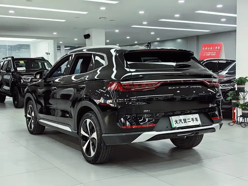 BYD PLUS New Energy 2023 из CN, фото 5