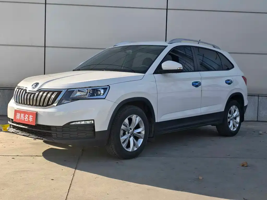 Skoda Kamiq 2021 из CN, фото 1