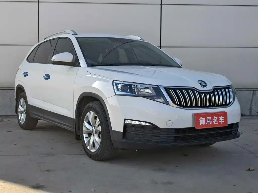Skoda Kamiq 2021 из CN, фото 3