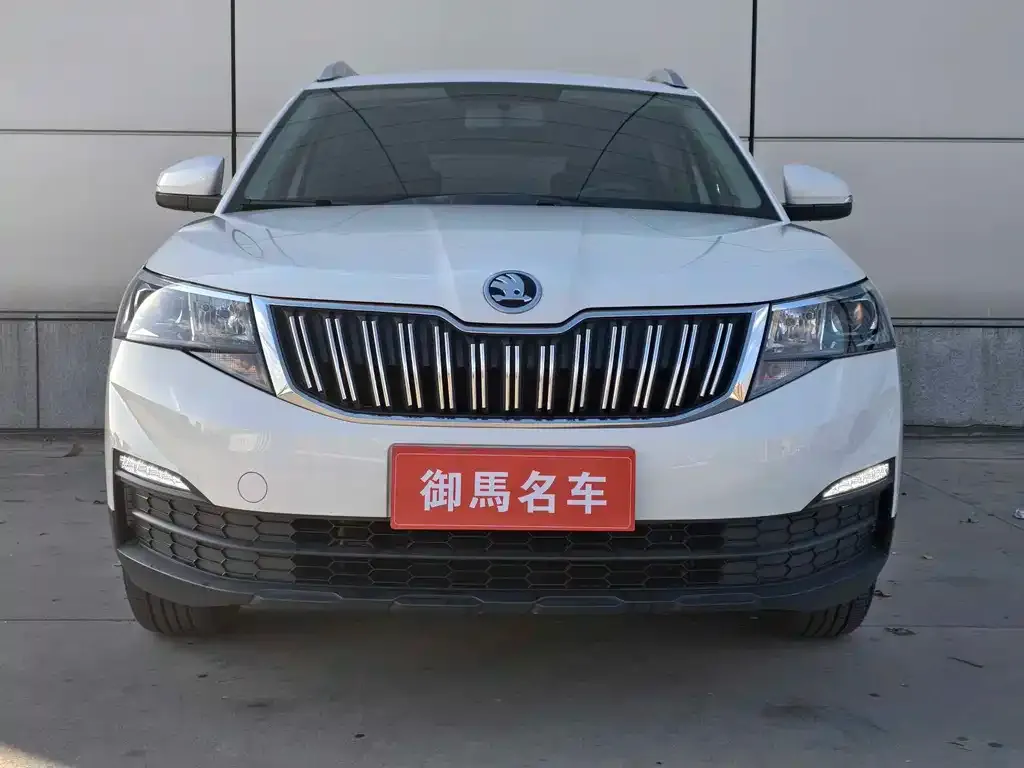 Skoda Kamiq 2021 из CN, фото 4