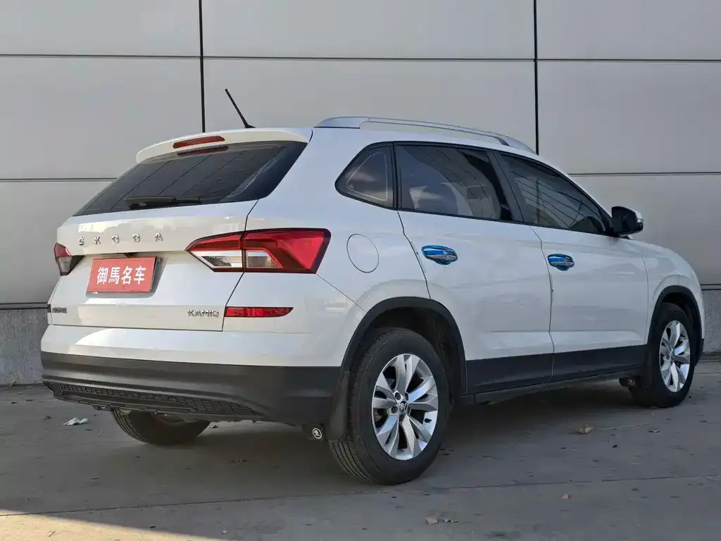 Skoda Kamiq 2021 из CN, фото 6