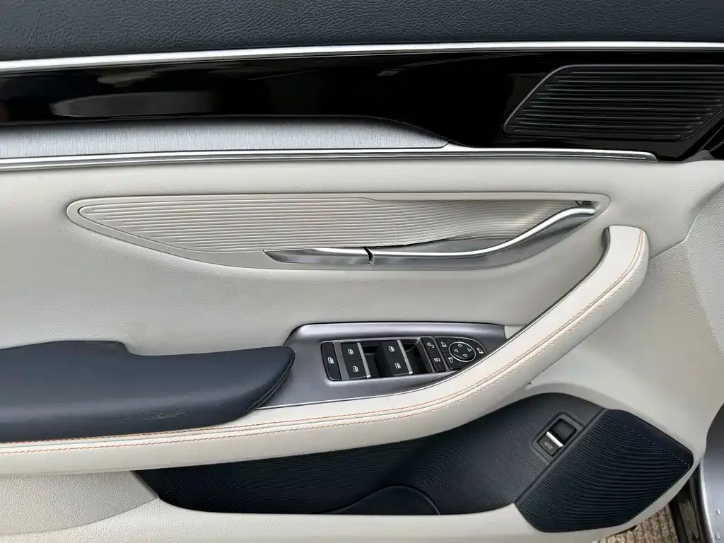 BYD PLUS New Energy — фото 6