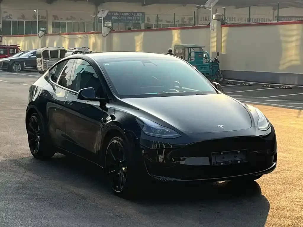 Tesla Model Y 2023 из CN, фото 7