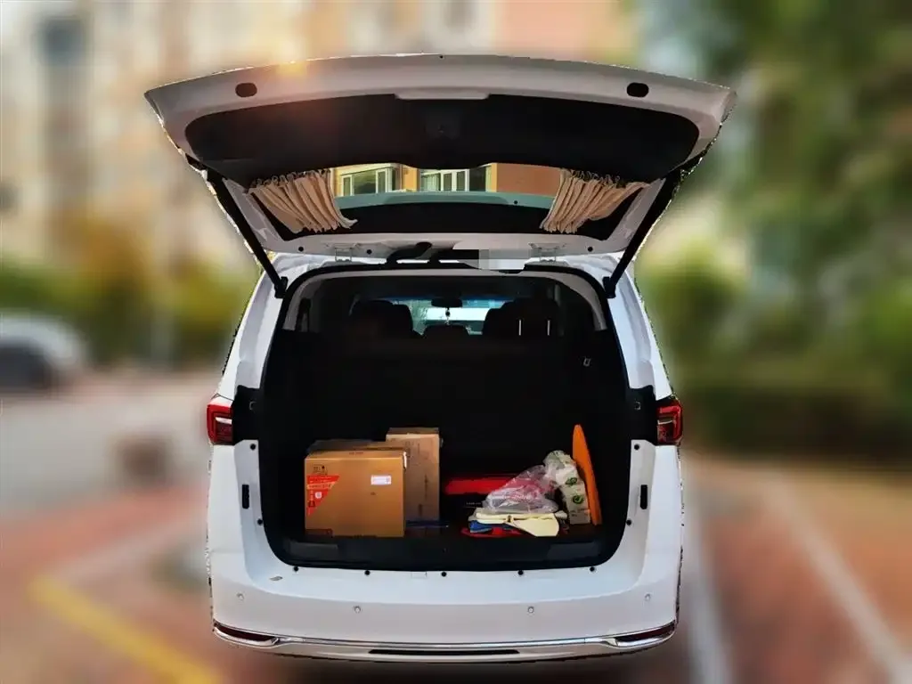 Buick GL8 2022 из CN, фото 9