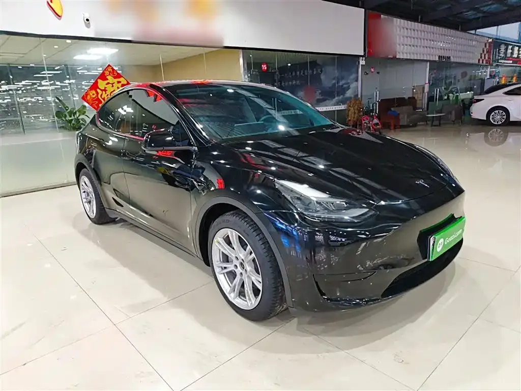 Tesla Model Y — фото 2