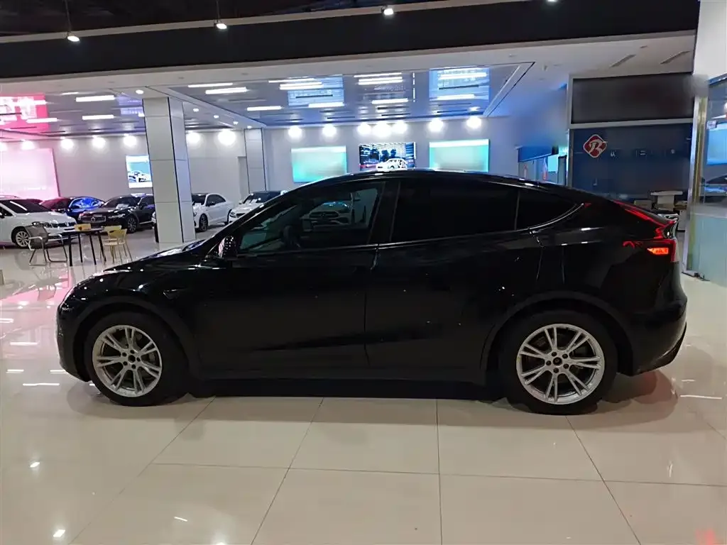 Tesla Model Y — фото 10