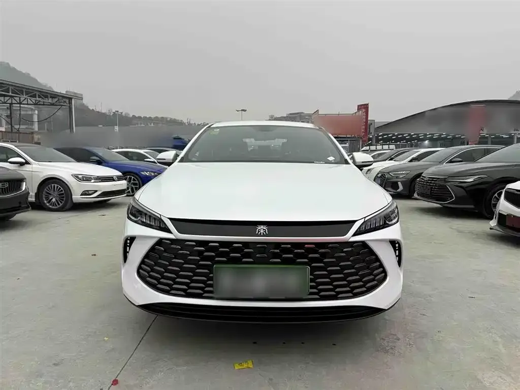 BYD Qin PLUS — фото 2