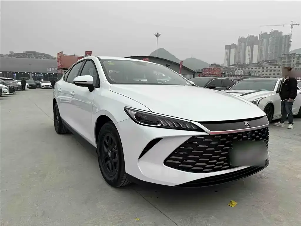 BYD Qin PLUS — фото 8