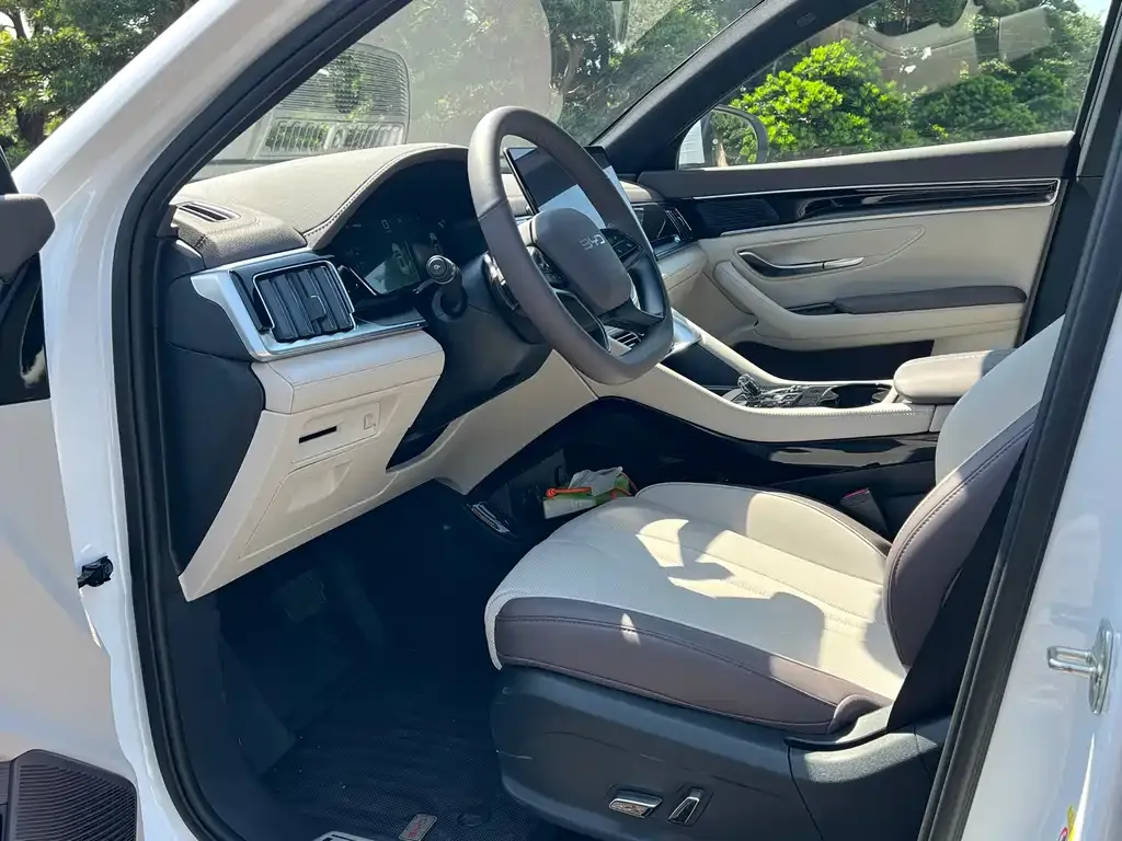 BYD PLUS New Energy 2025 из CN, фото 10
