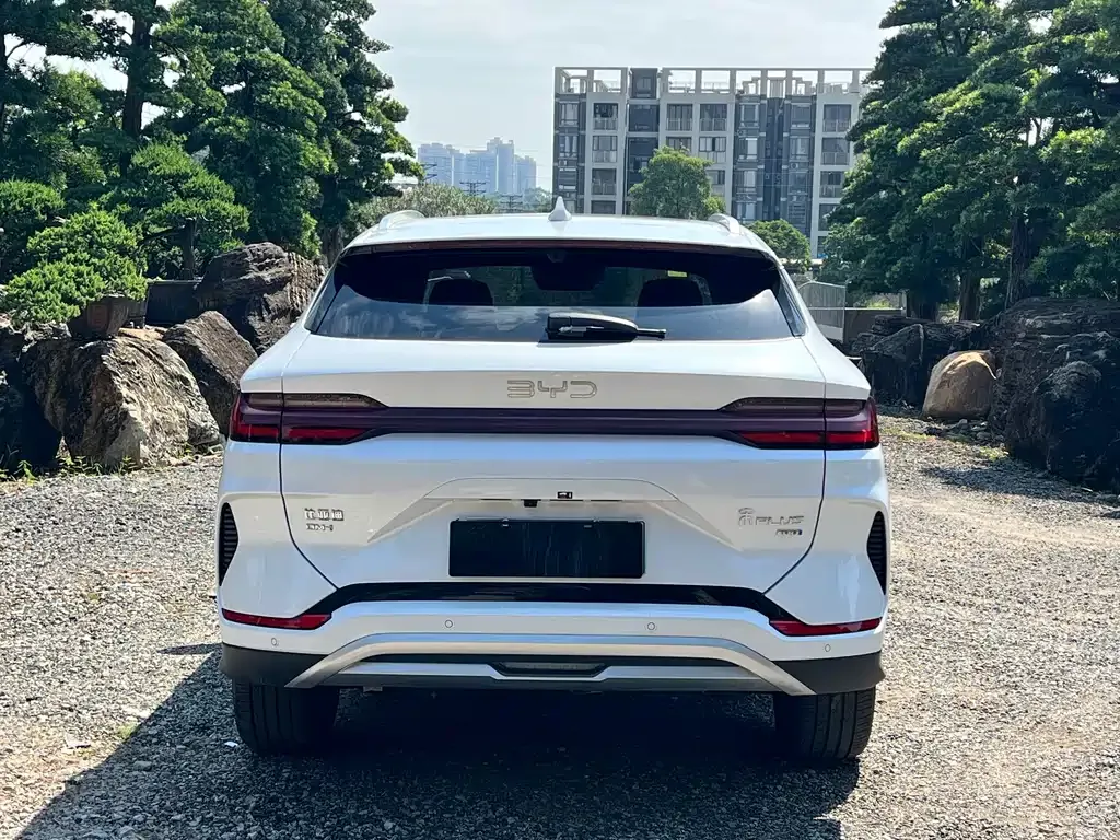 BYD PLUS New Energy 2025 из CN, фото 6