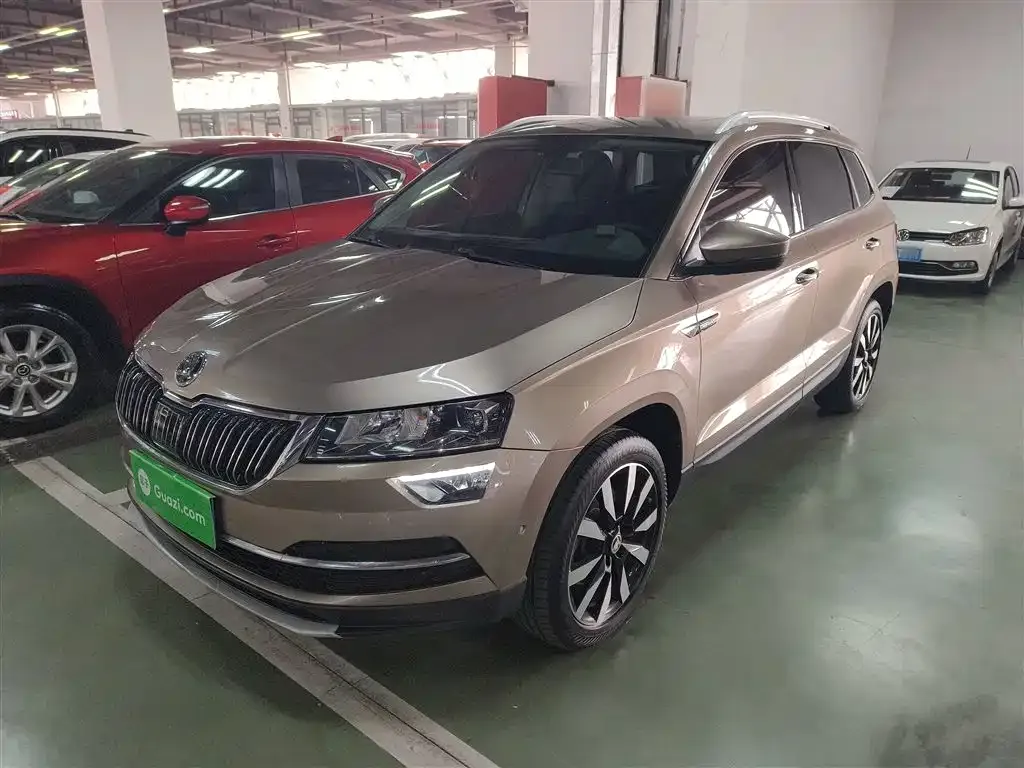Skoda Karoq 2021 из CN, фото 1