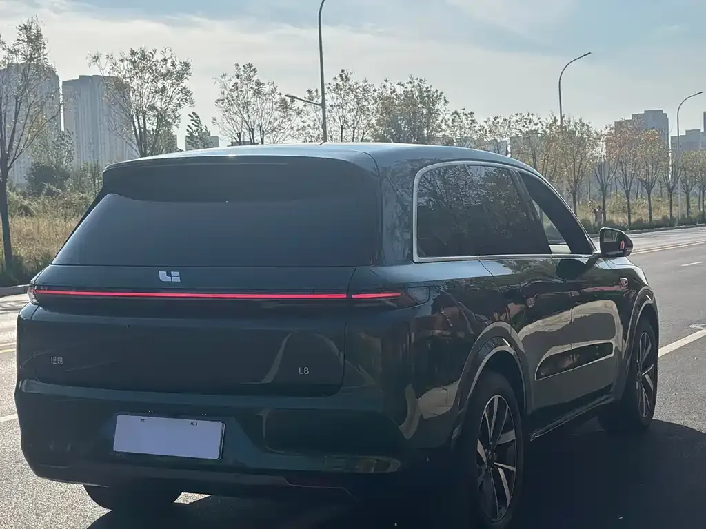 Li Auto L8 2023 из CN, фото 6