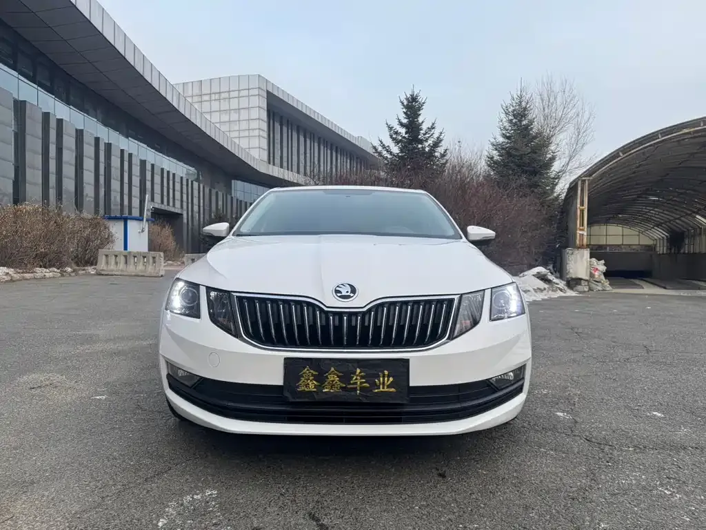 Skoda Octavia 2022 из CN, фото 2