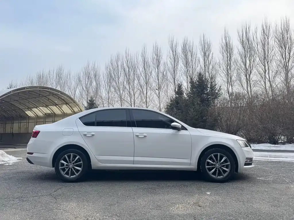 Skoda Octavia 2022 из CN, фото 5