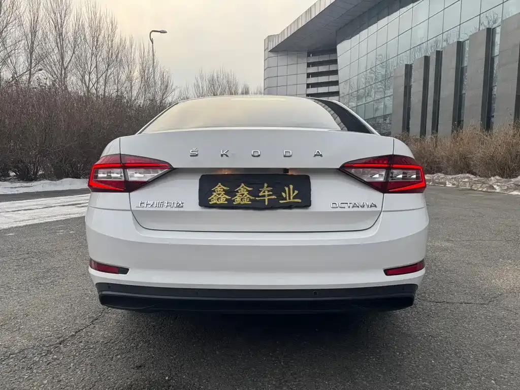 Skoda Octavia 2022 из CN, фото 7