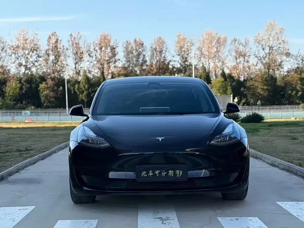 Tesla Model 3 — фото 5