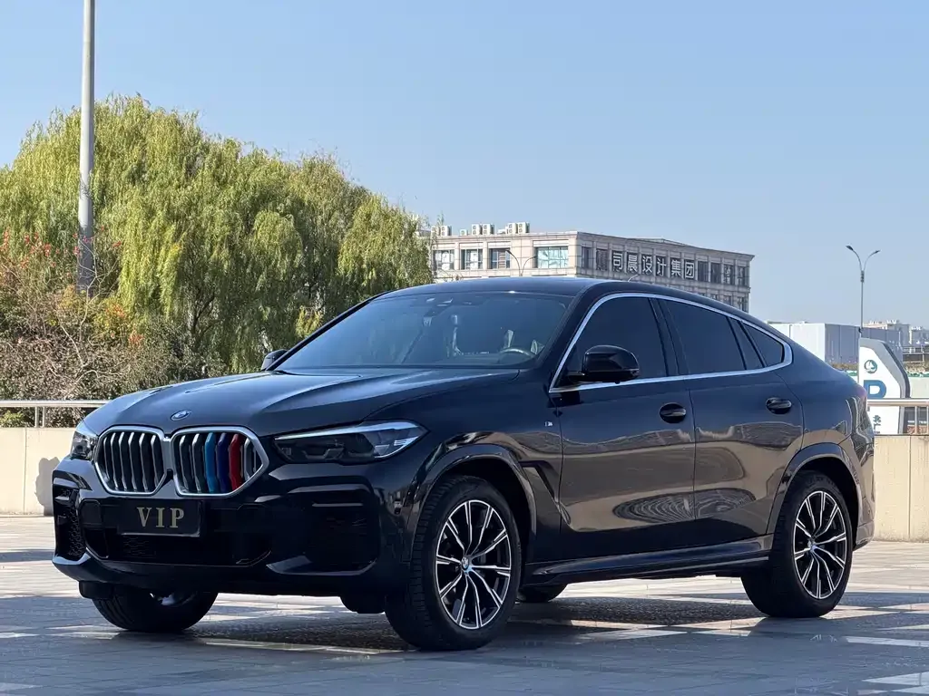 BMW X6 2022 из CN, фото 1