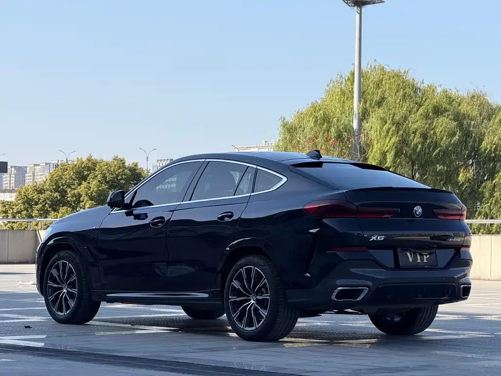 BMW X6 2022 из CN, фото 3