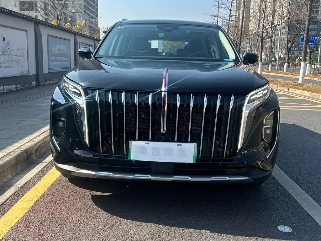 Hongqi HS7 PHEV — фото 8