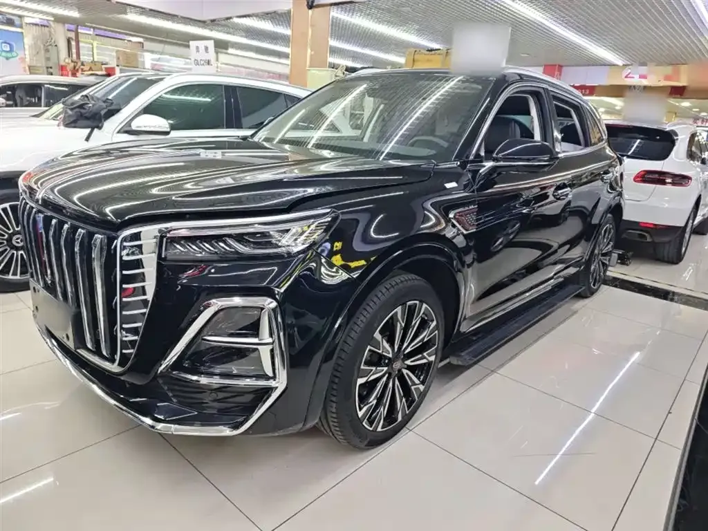 Hongqi HS5 2024 из CN, фото 5