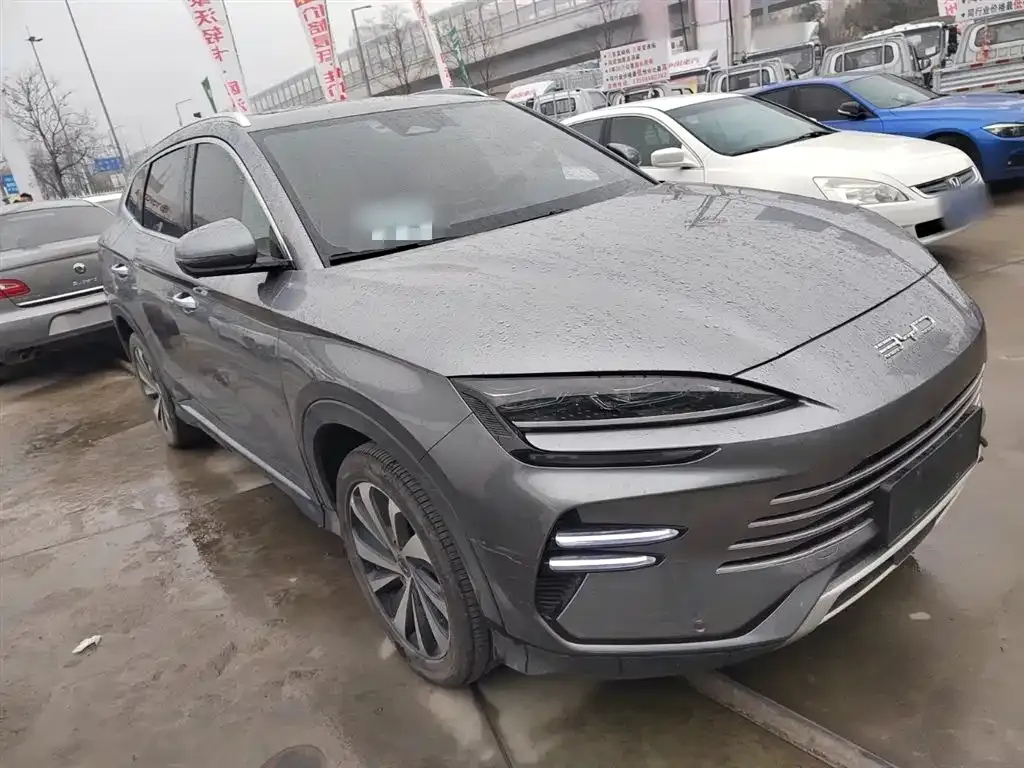 BYD PLUS New Energy — фото 3