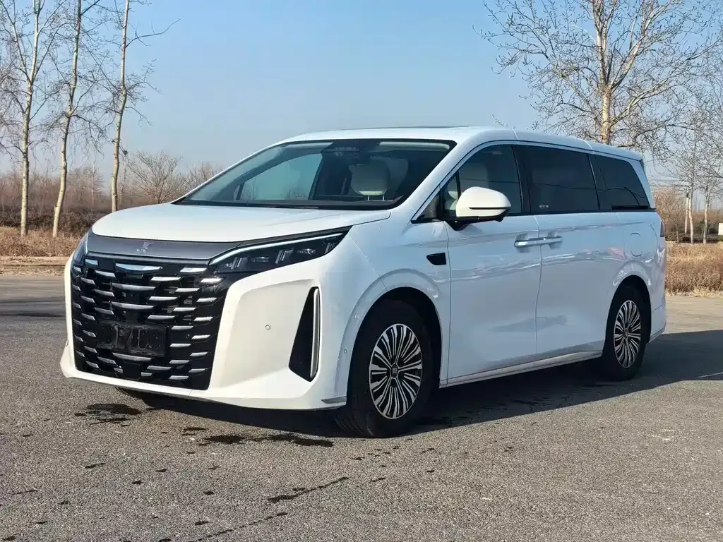 BYD Xia 2025 из CN, фото 1