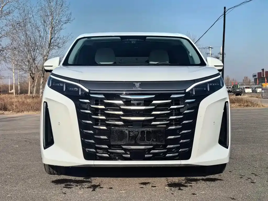 BYD Xia 2025 из CN, фото 5