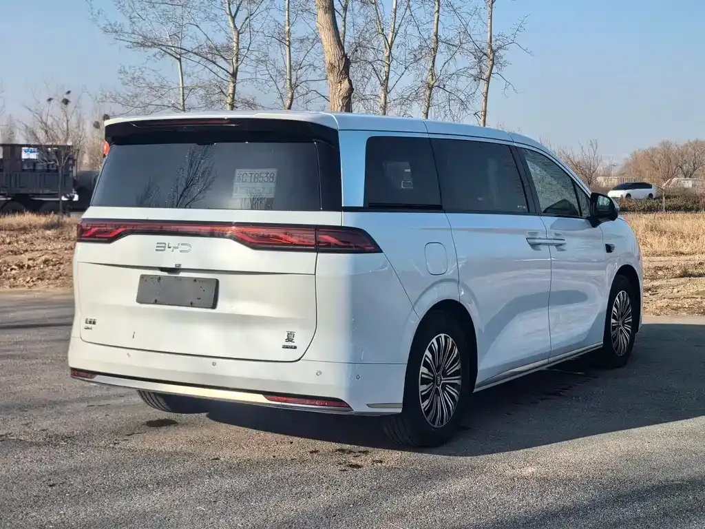 BYD Xia 2025 из CN, фото 6