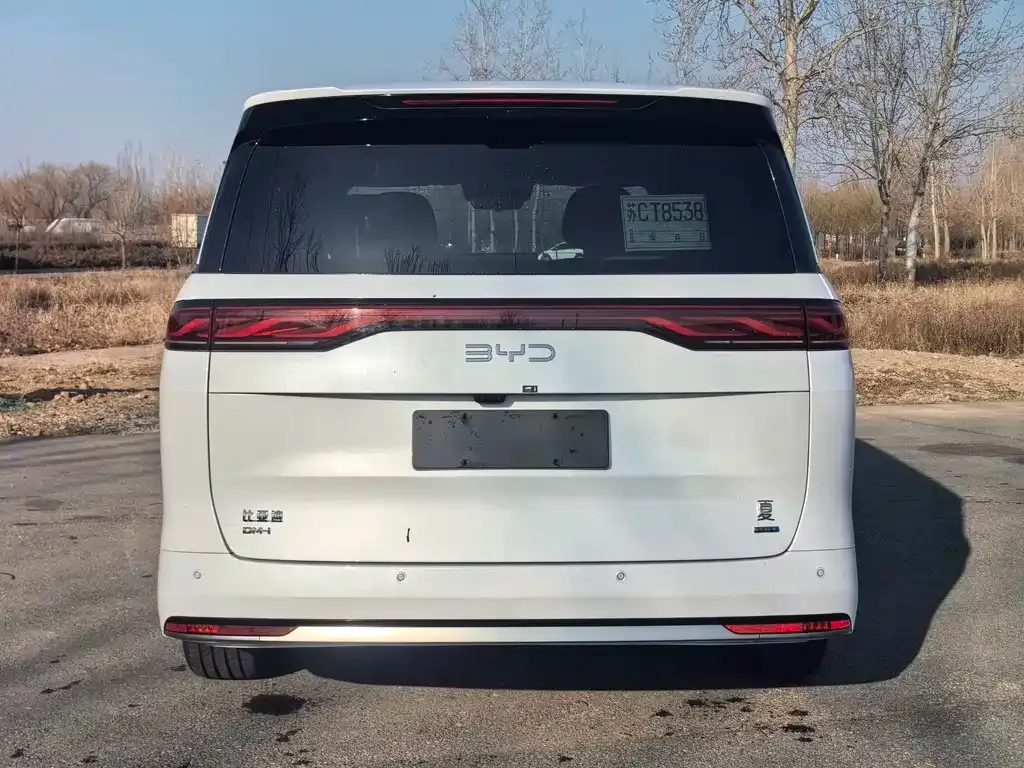 BYD Xia 2025 из CN, фото 3