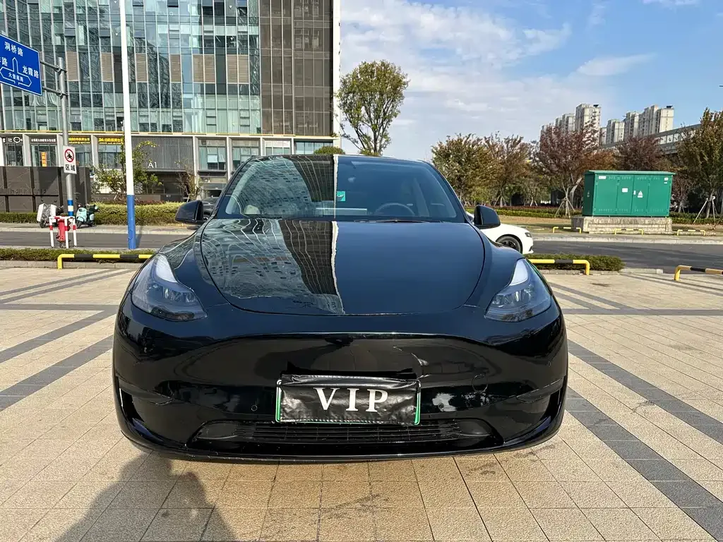 Tesla Model Y — фото 1
