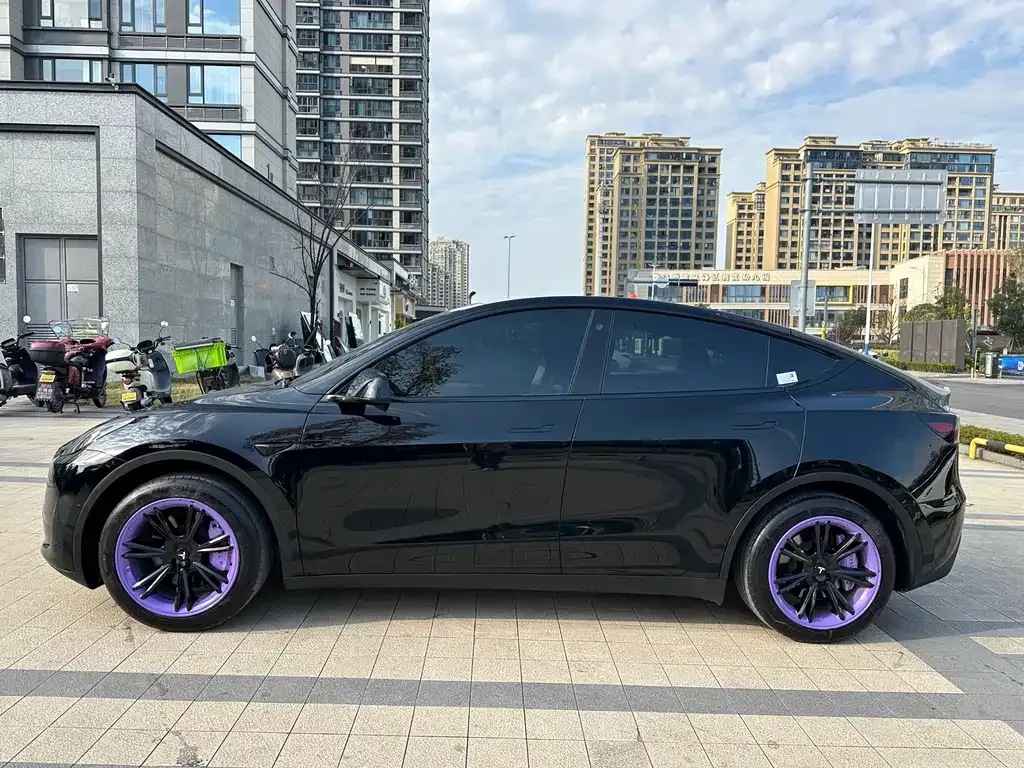 Tesla Model Y — фото 10