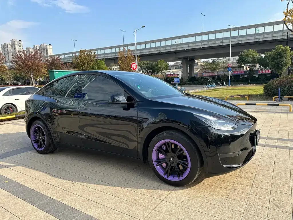 Tesla Model Y — фото 2