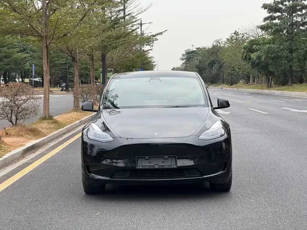 Tesla Model Y — фото 1